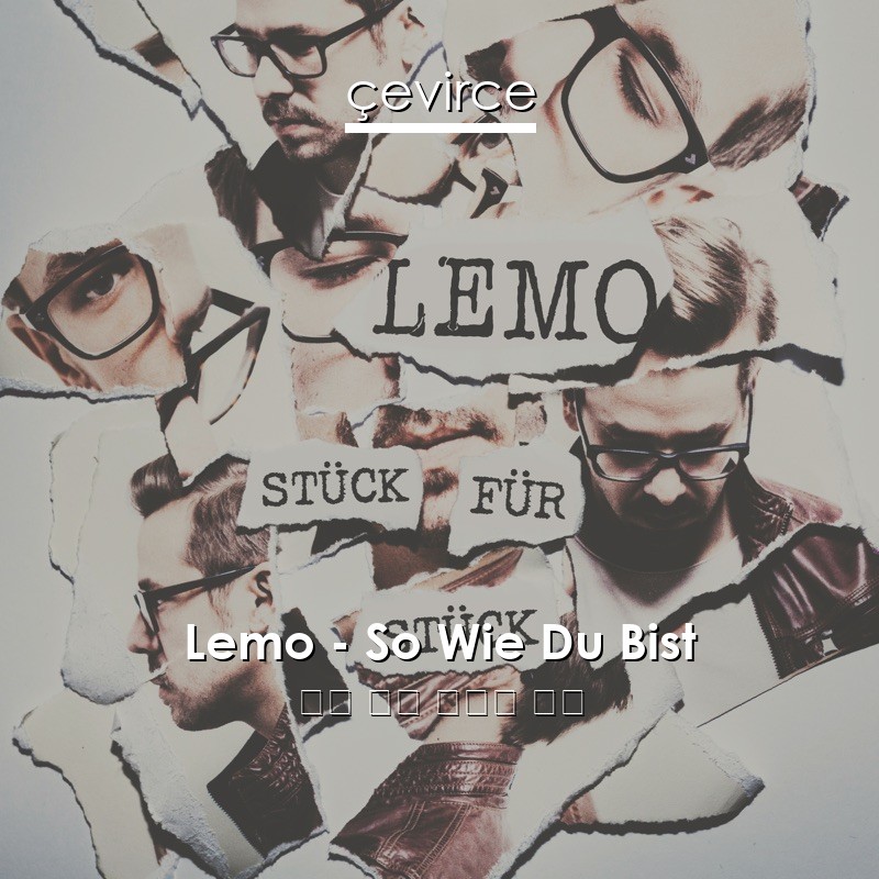 Lemo – So Wie Du Bist 德語 歌詞 中國人 翻譯