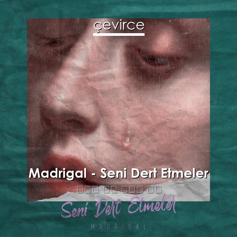 Madrigal – Seni Dert Etmeler 土耳其 歌詞 中國人 翻譯