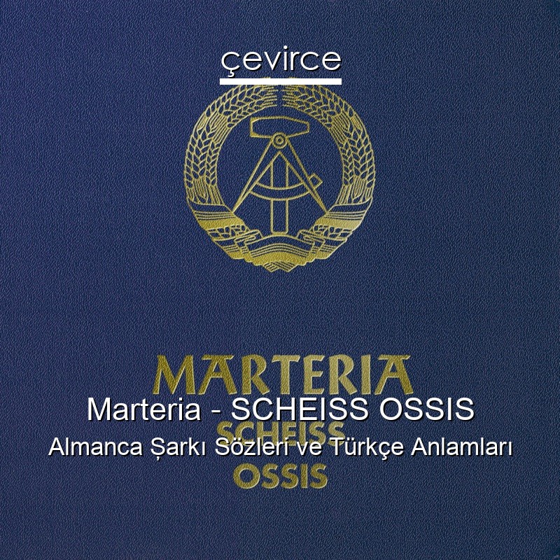 Marteria – SCHEISS OSSIS Almanca Şarkı Sözleri Türkçe Anlamları