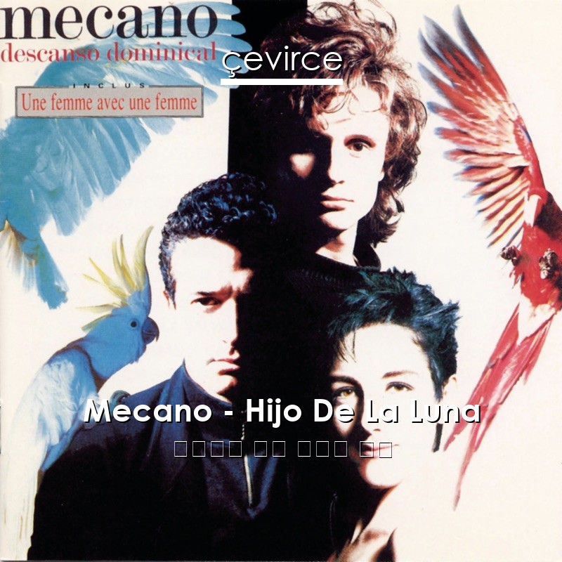 Mecano – Hijo De La Luna 西班牙語 歌詞 中國人 翻譯
