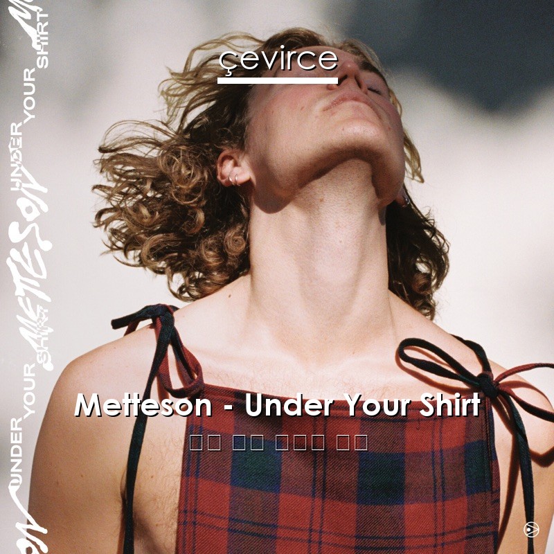 Metteson – Under Your Shirt 英語 歌詞 中國人 翻譯
