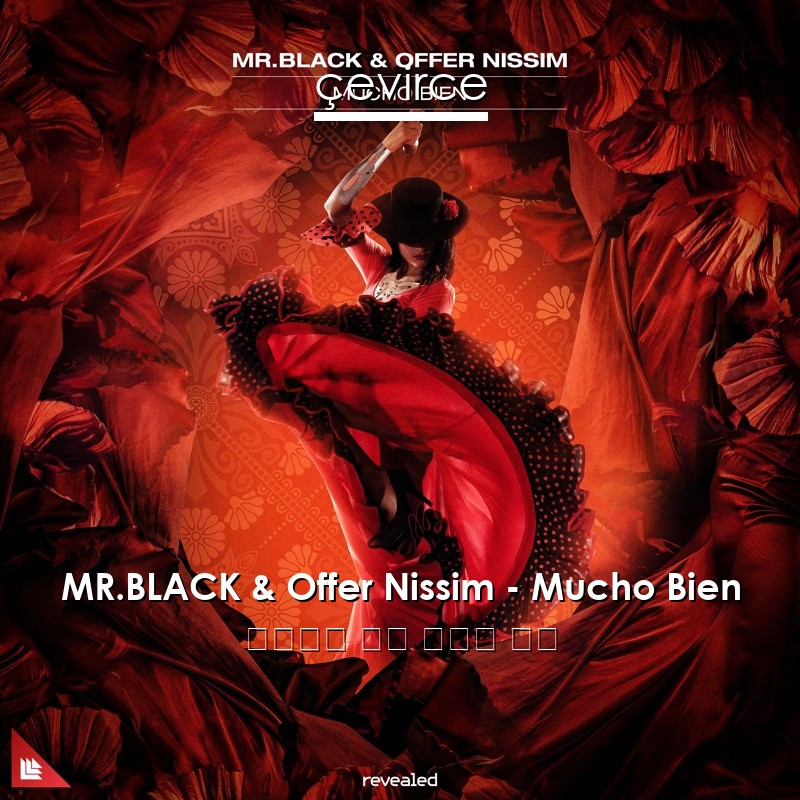 MR.BLACK & Offer Nissim – Mucho Bien 西班牙語 歌詞 中國人 翻譯