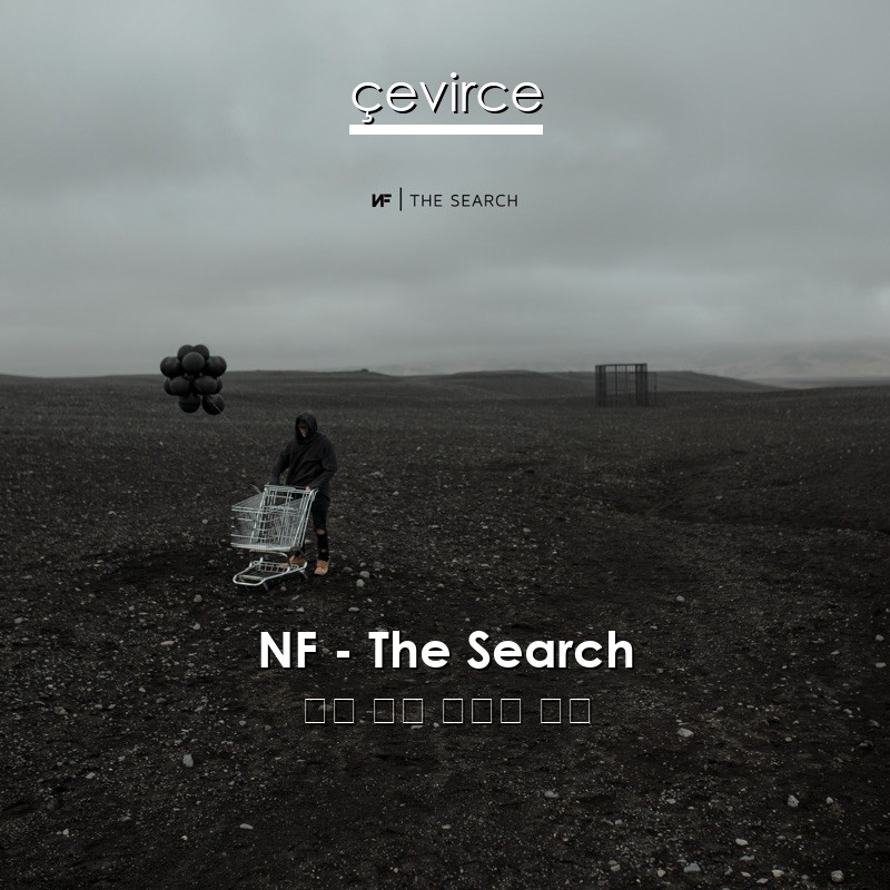 NF – The Search 英語 歌詞 中國人 翻譯