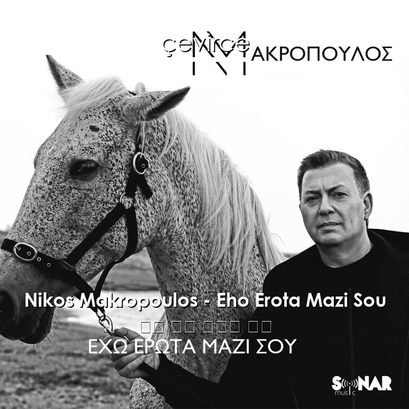 Nikos Makropoulos – Eho Erota Mazi Sou 英語 歌詞 中國人 翻譯