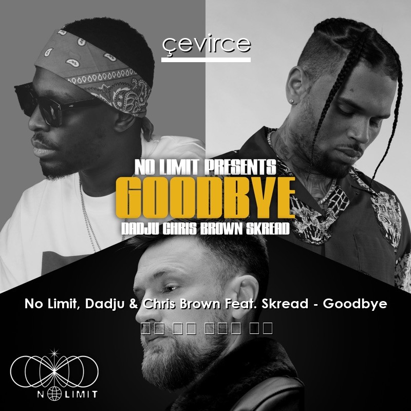 No Limit, Dadju & Chris Brown Feat. Skread – Goodbye 法語 歌詞 中國人 翻譯