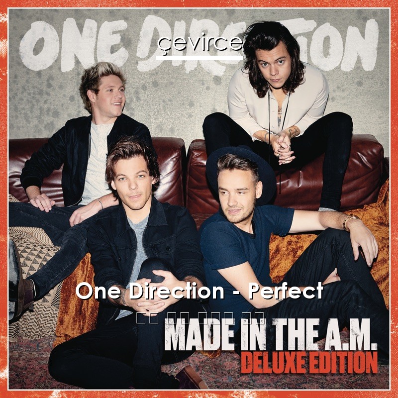 One Direction – Perfect 英語 歌詞 中國人 翻譯