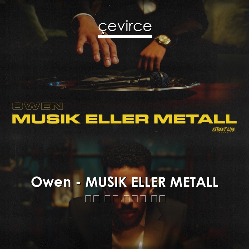 Owen – MUSIK ELLER METALL 瑞典 歌詞 中國人 翻譯