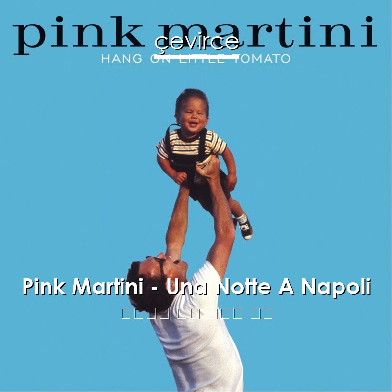 Pink Martini – Una Notte A Napoli 意大利語 歌詞 中國人 翻譯