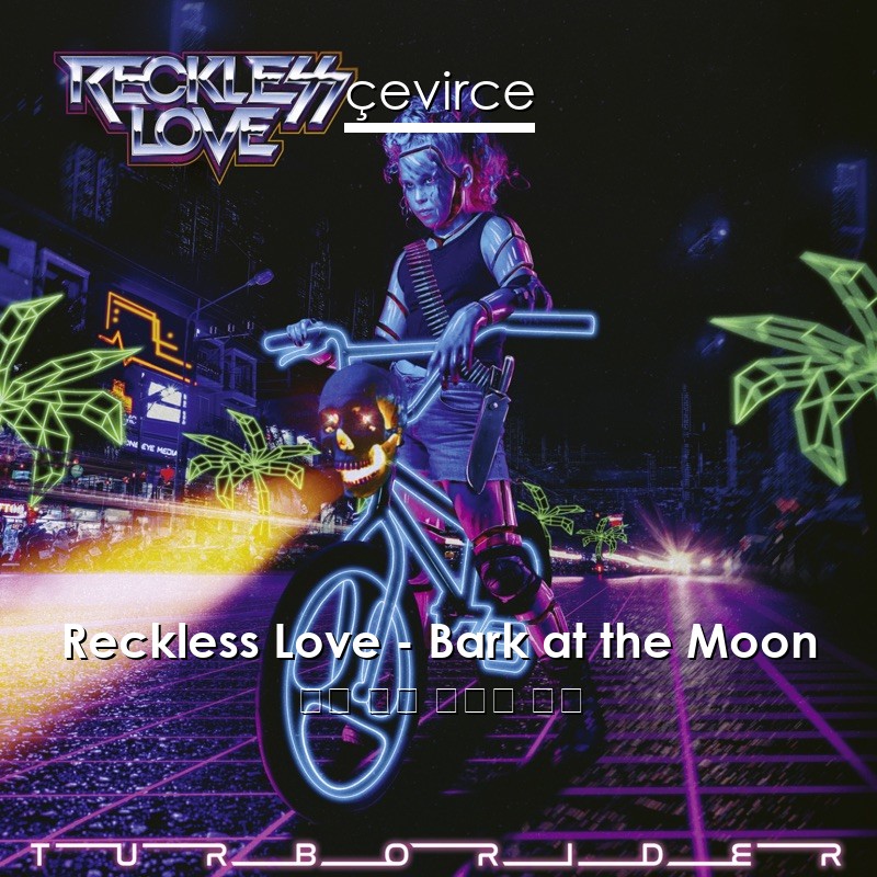Reckless Love – Bark at the Moon 英語 歌詞 中國人 翻譯