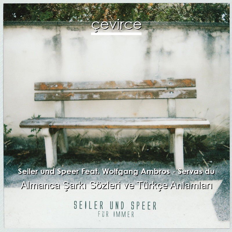 Seiler und Speer Feat. Wolfgang Ambros – Servas du Almanca Şarkı Sözleri Türkçe Anlamları