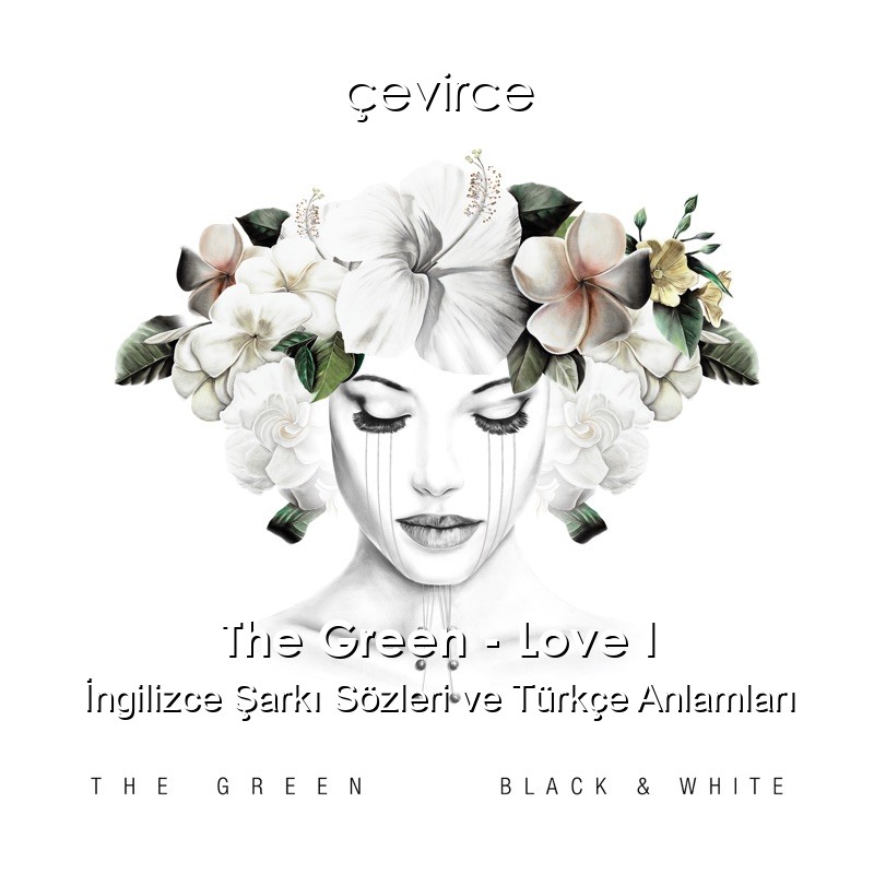 The Green – Love I İngilizce Şarkı Sözleri Türkçe Anlamları