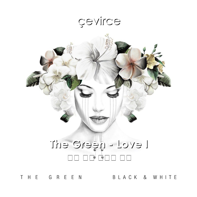 The Green – Love I 英語 歌詞 中國人 翻譯
