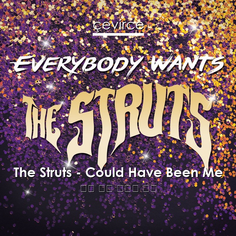 The Struts – Could Have Been Me 英語 歌詞 中國人 翻譯