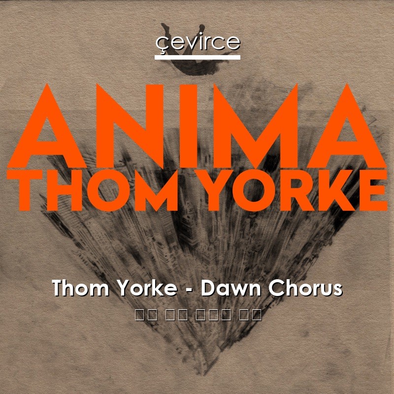 Thom Yorke – Dawn Chorus 英語 歌詞 中國人 翻譯