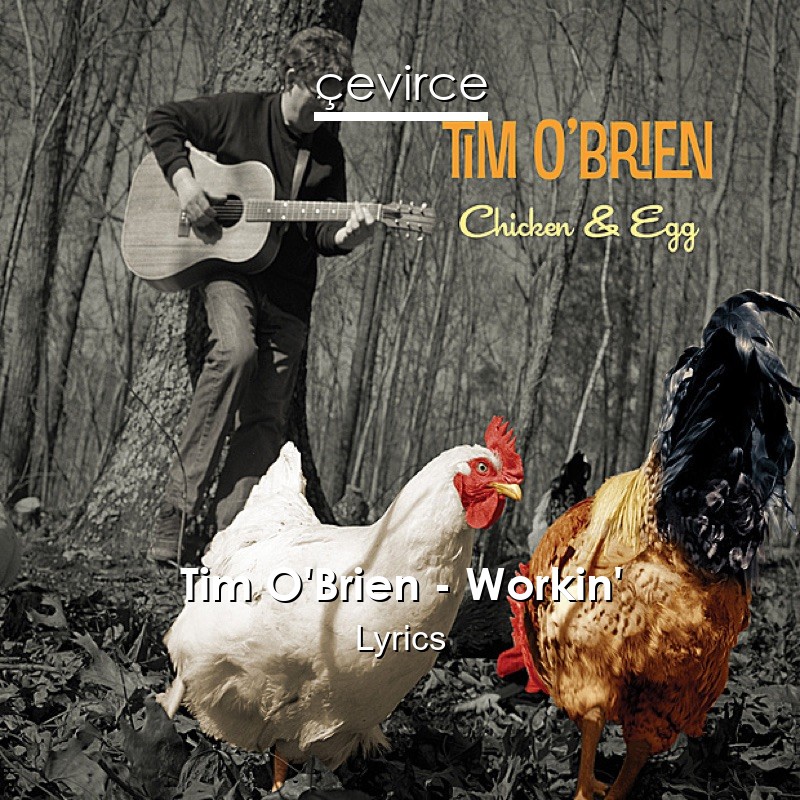 Tim O’Brien – Workin’ Lyrics