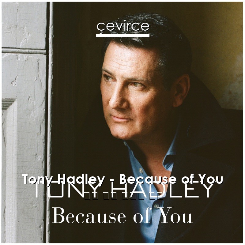 Tony Hadley – Because of You 英語 歌詞 中國人 翻譯