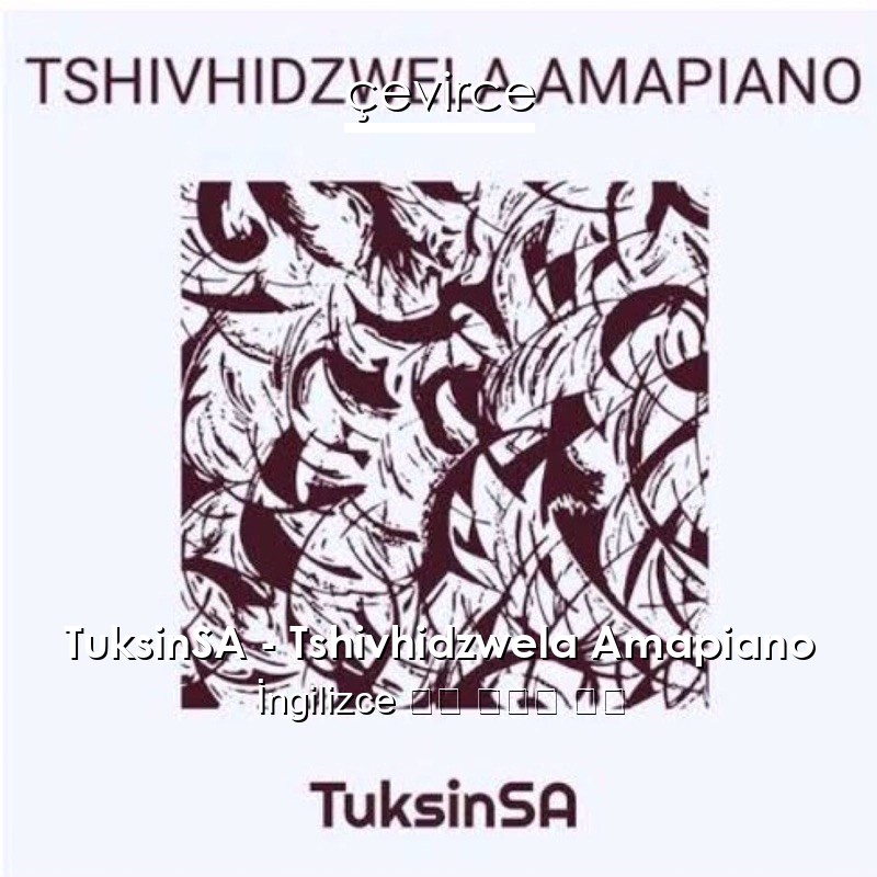 TuksinSA – Tshivhidzwela Amapiano  歌詞 中國人 翻譯