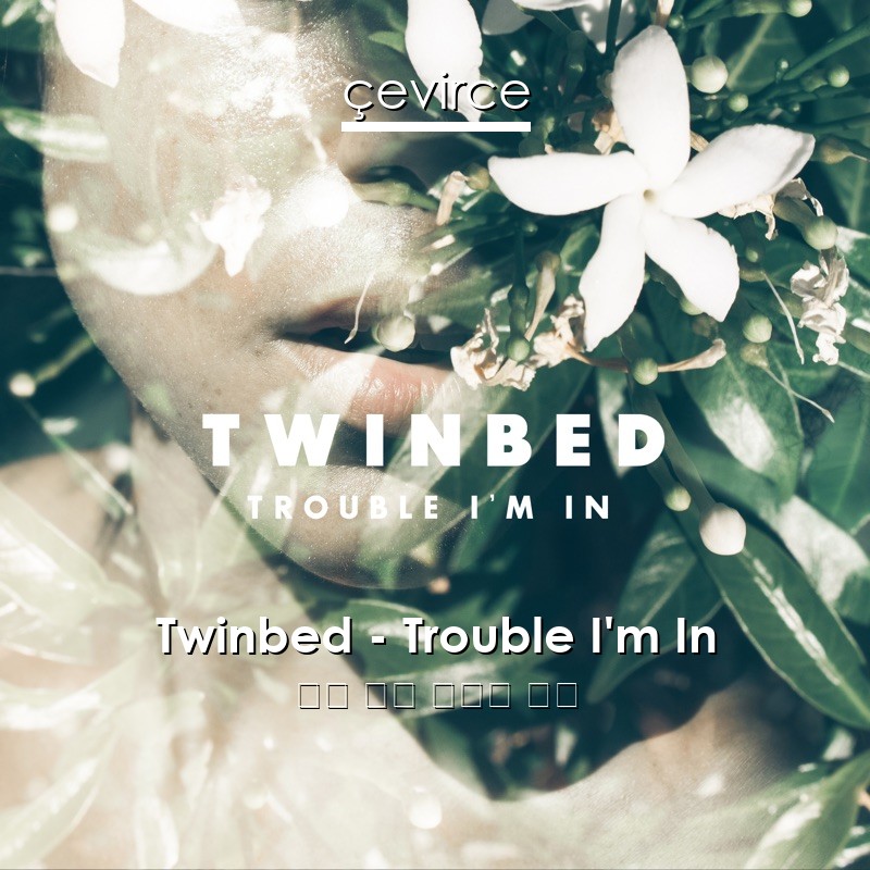 Twinbed – Trouble I’m In 英語 歌詞 中國人 翻譯