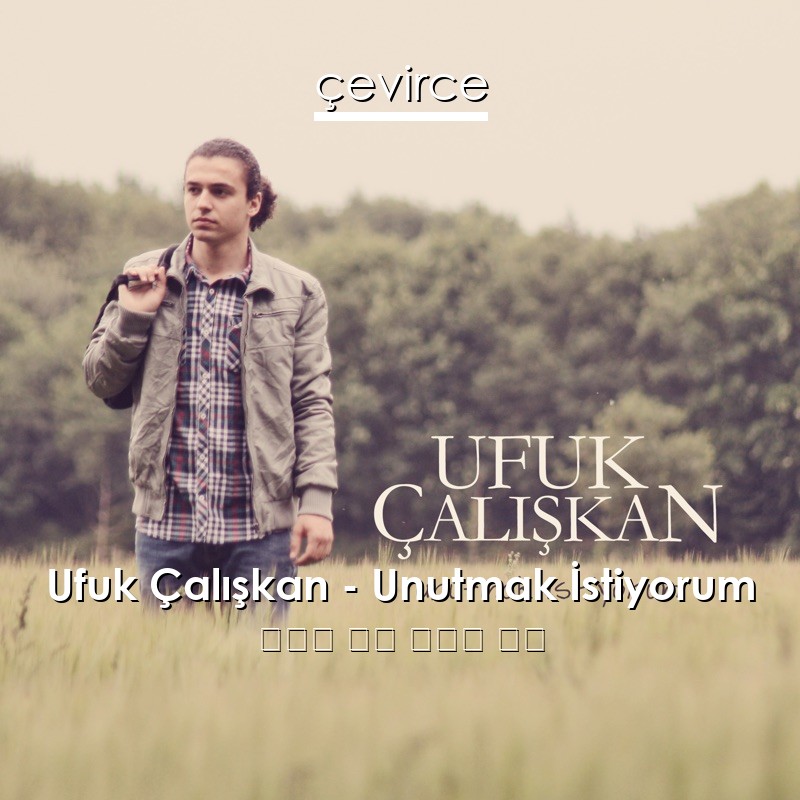 Ufuk Çalışkan – Unutmak İstiyorum 土耳其 歌詞 中國人 翻譯
