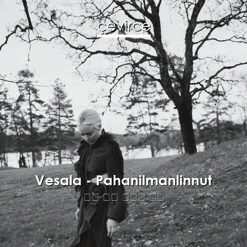 Vesala – Pahanilmanlinnut 芬蘭 歌詞 中國人 翻譯