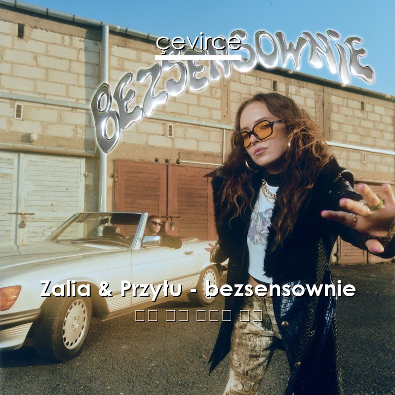 Zalia & Przyłu – bezsensownie 方言 歌詞 中國人 翻譯