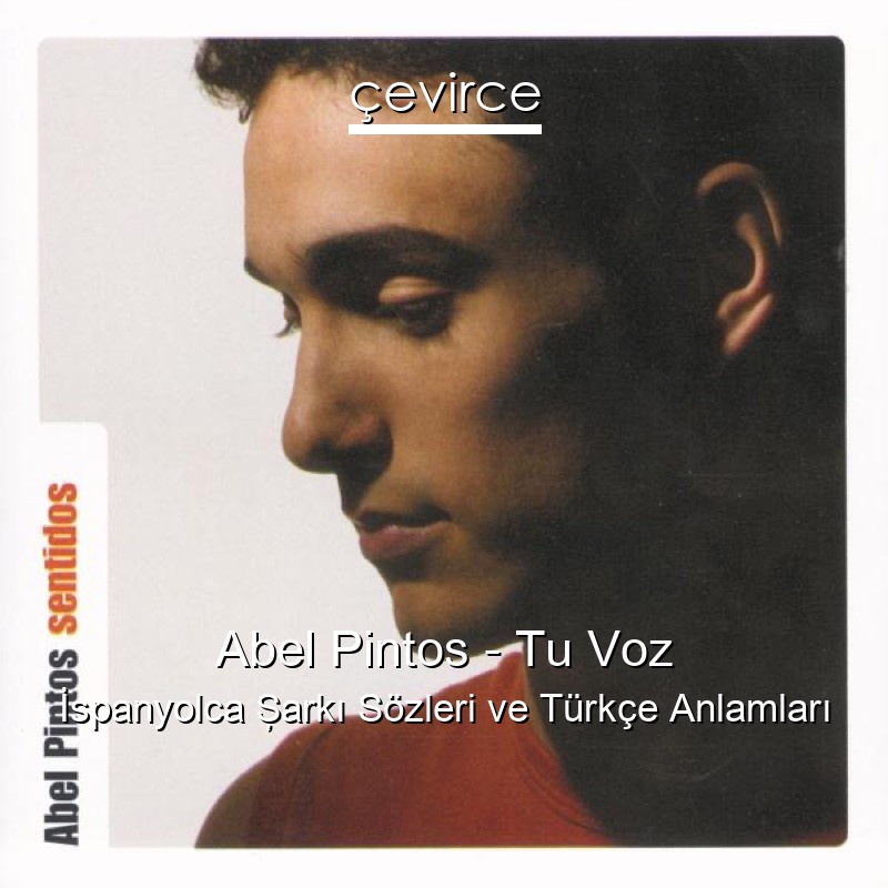 Abel Pintos – Tu Voz İspanyolca Şarkı Sözleri Türkçe Anlamları