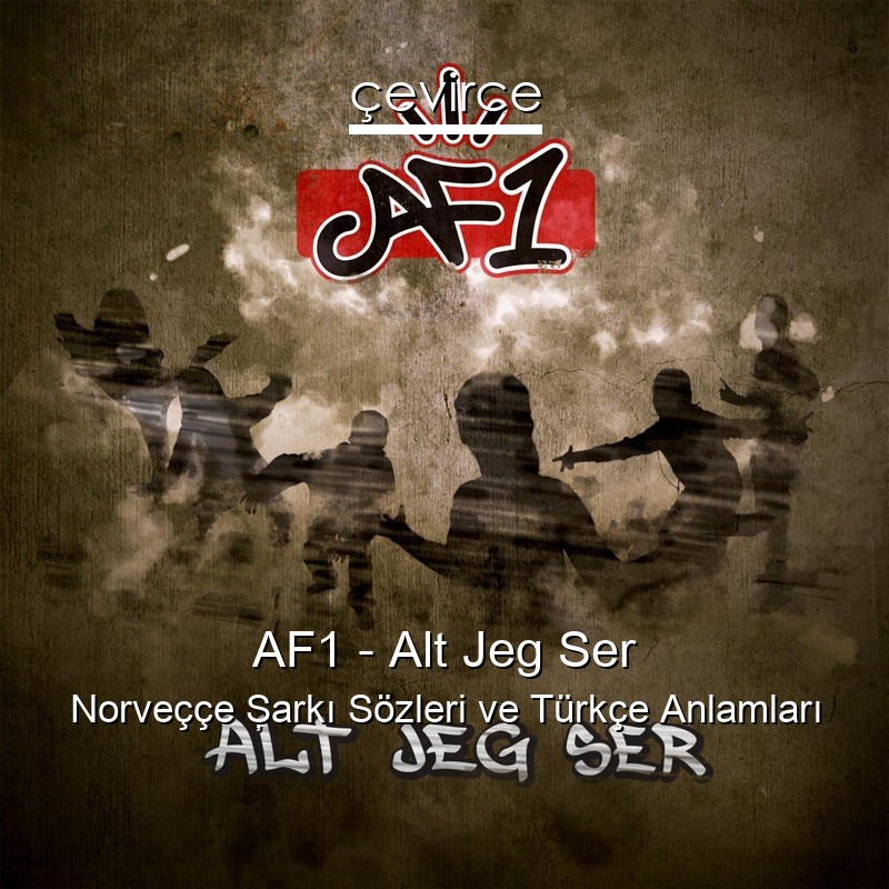 AF1 – Alt Jeg Ser Norveççe Şarkı Sözleri Türkçe Anlamları