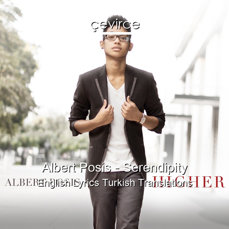 Albert Posis – Serendipity English Lyrics Turkish Translations