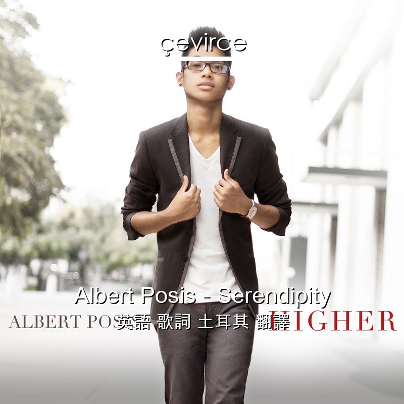 Albert Posis – Serendipity 英語 歌詞 土耳其 翻譯
