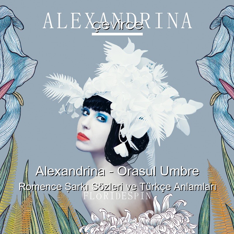 Alexandrina – Orasul Umbre Romence Şarkı Sözleri Türkçe Anlamları