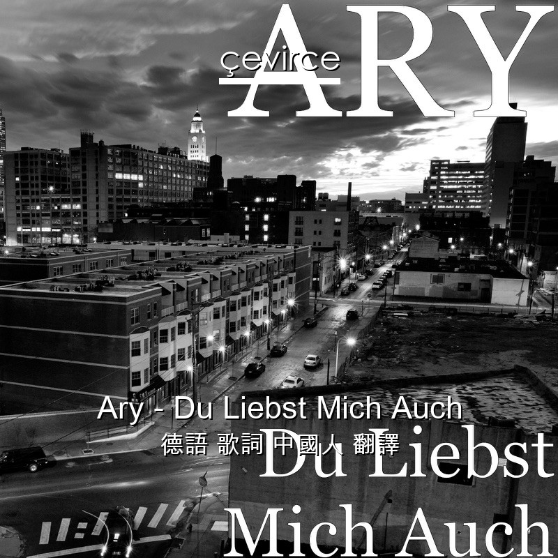 Ary – Du Liebst Mich Auch 德語 歌詞 中國人 翻譯