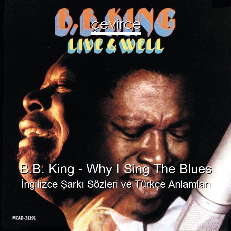 B.B. King – Why I Sing The Blues İngilizce Şarkı Sözleri Türkçe Anlamları