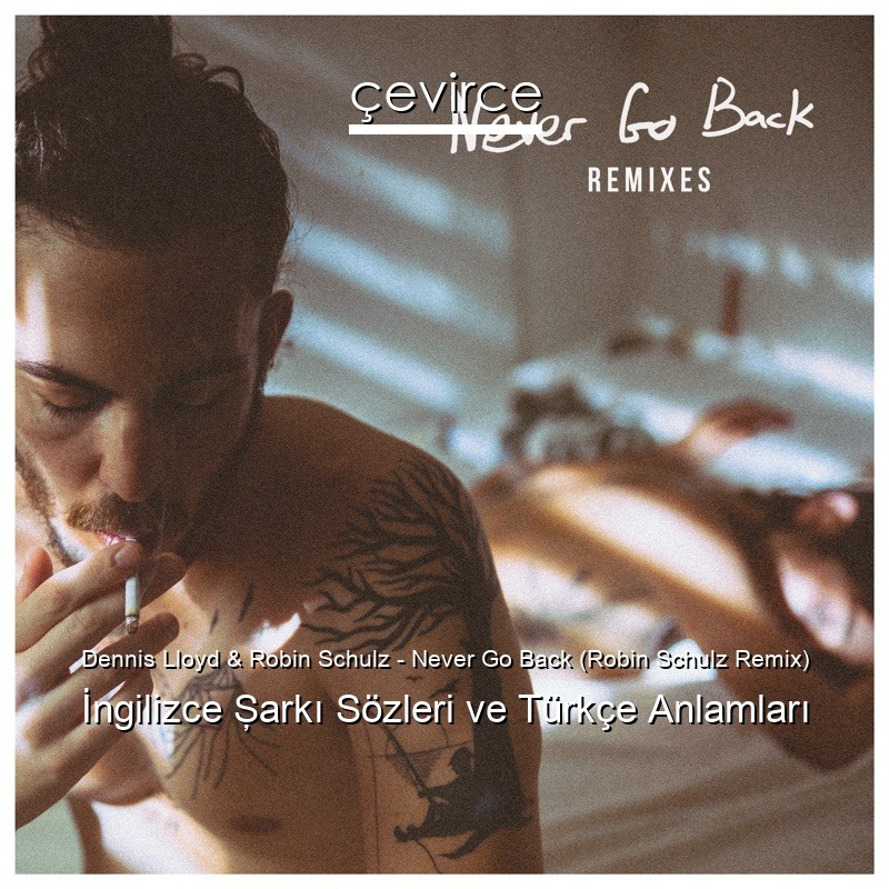 Dennis Lloyd & Robin Schulz – Never Go Back (Robin Schulz Remix) İngilizce Şarkı Sözleri Türkçe Anlamları