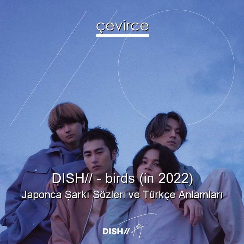 DISH// – birds (in 2022) Japonca Şarkı Sözleri Türkçe Anlamları