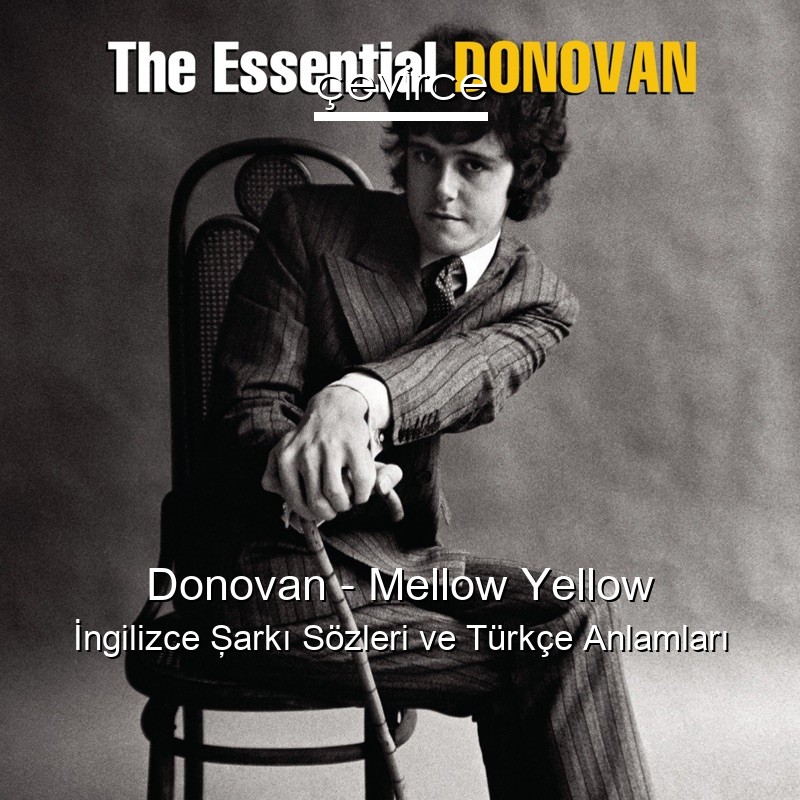 Donovan – Mellow Yellow İngilizce Şarkı Sözleri Türkçe Anlamları