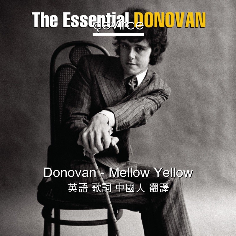 Donovan – Mellow Yellow 英語 歌詞 中國人 翻譯