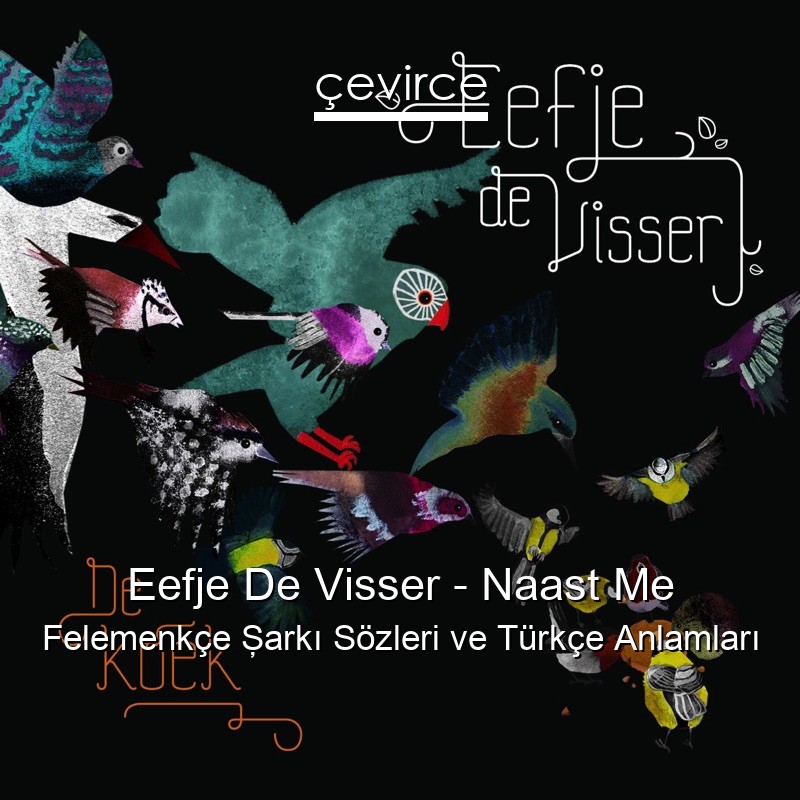 Eefje De Visser – Naast Me Felemenkçe Şarkı Sözleri Türkçe Anlamları