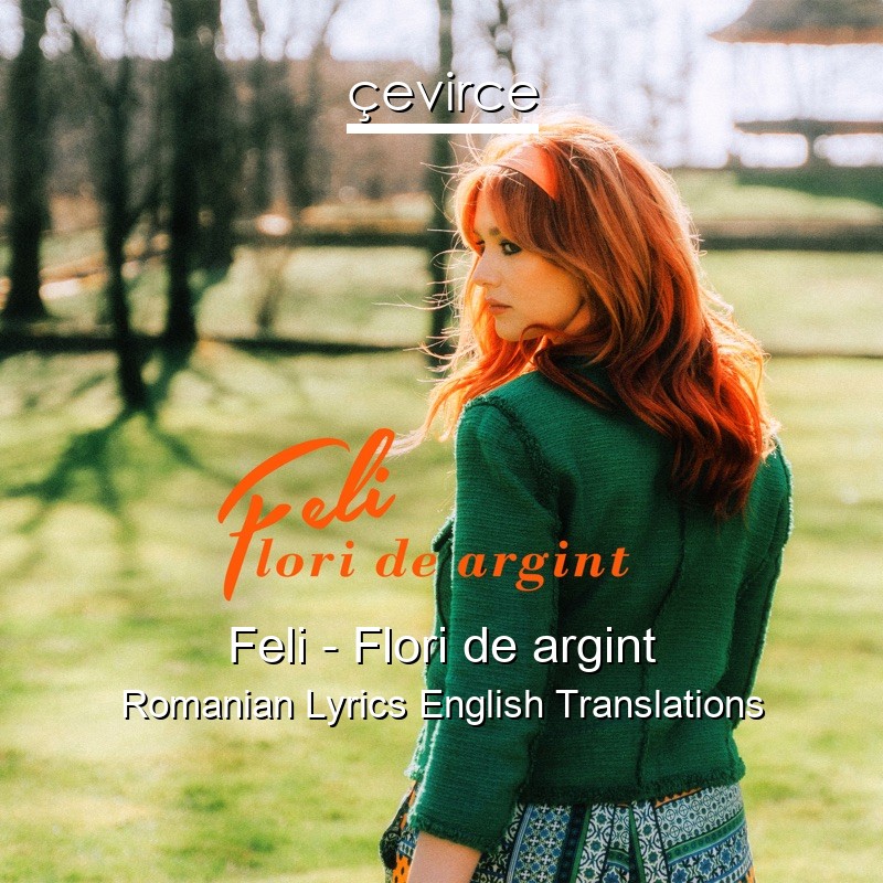 Feli – Flori de argint Romanian Lyrics English Translations