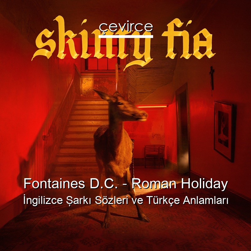Fontaines D.C. – Roman Holiday İngilizce Şarkı Sözleri Türkçe Anlamları