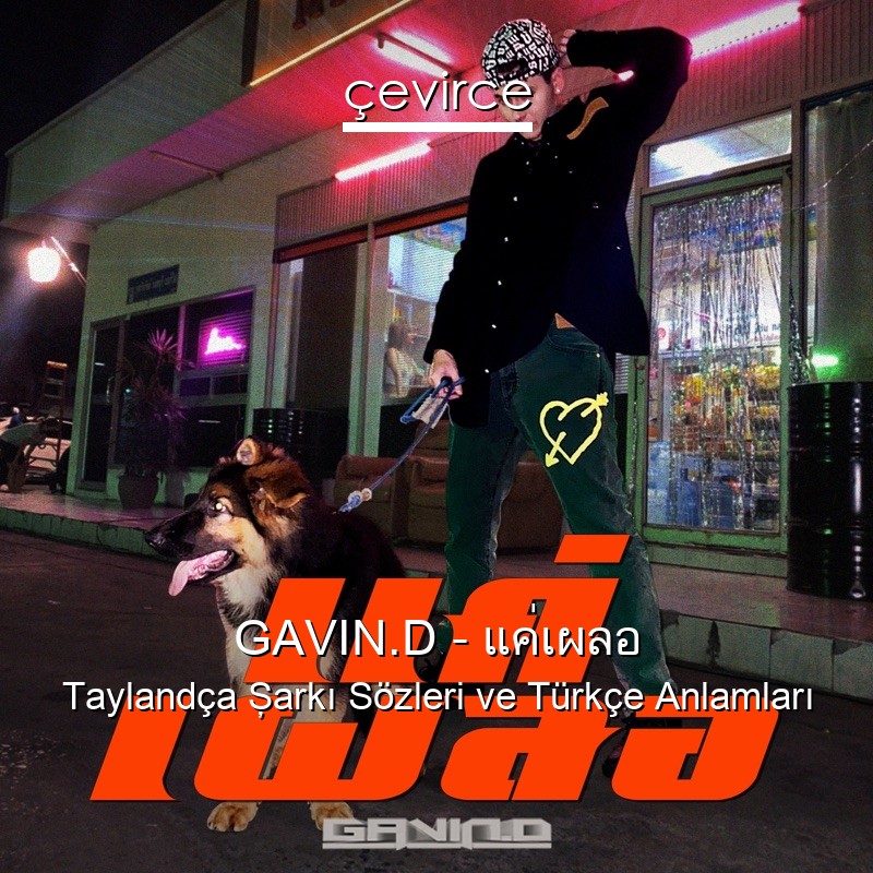 GAVIN.D – แค่เผลอ Taylandça Şarkı Sözleri Türkçe Anlamları