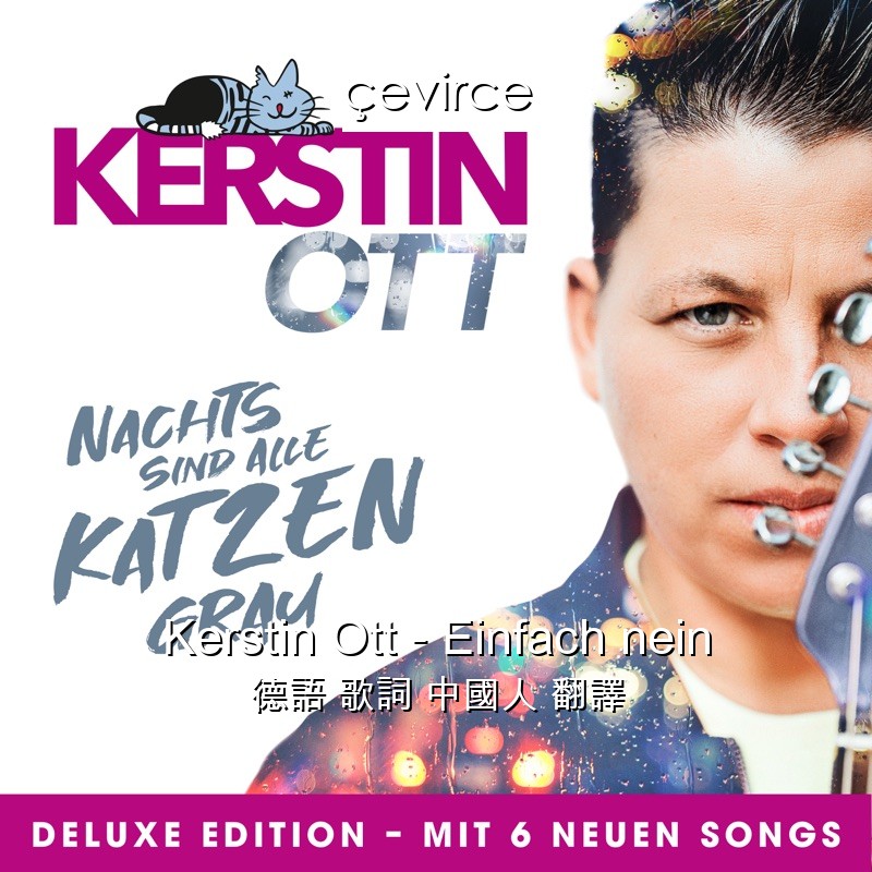 Kerstin Ott – Einfach nein 德語 歌詞 中國人 翻譯