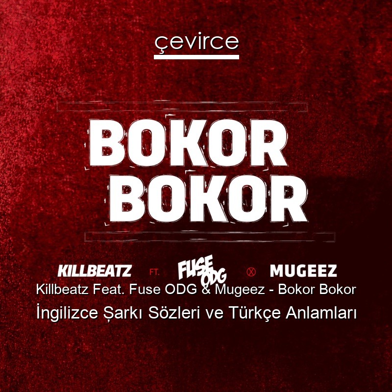 Killbeatz Feat. Fuse ODG & Mugeez – Bokor Bokor İngilizce Şarkı Sözleri Türkçe Anlamları