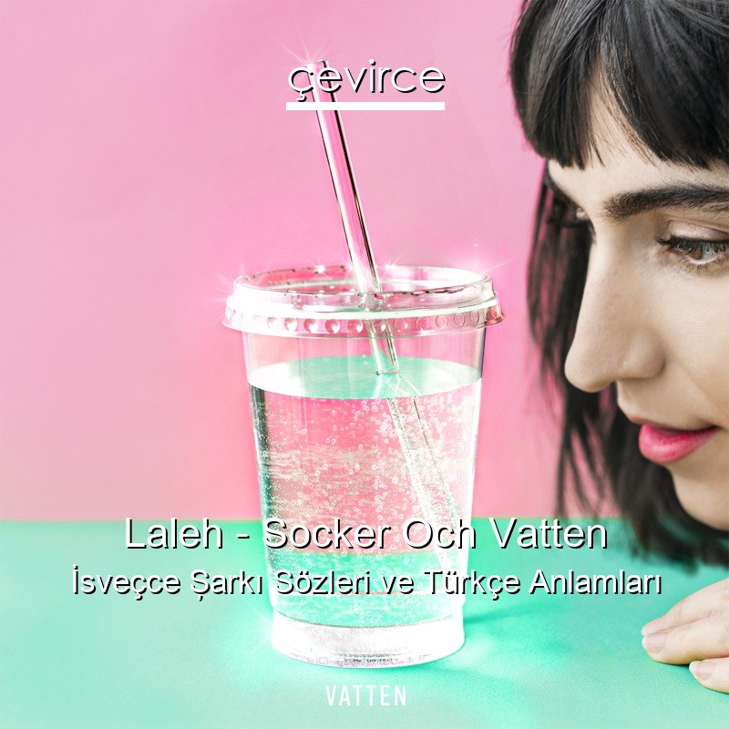 Laleh – Socker Och Vatten İsveçce Şarkı Sözleri Türkçe Anlamları
