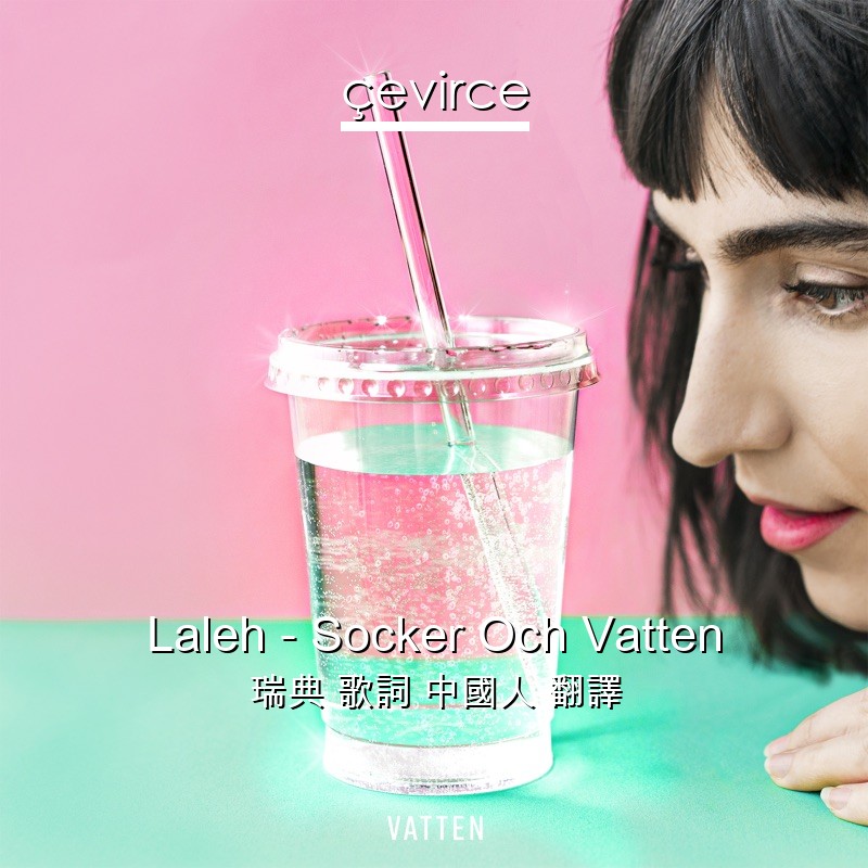 Laleh – Socker Och Vatten 瑞典 歌詞 中國人 翻譯