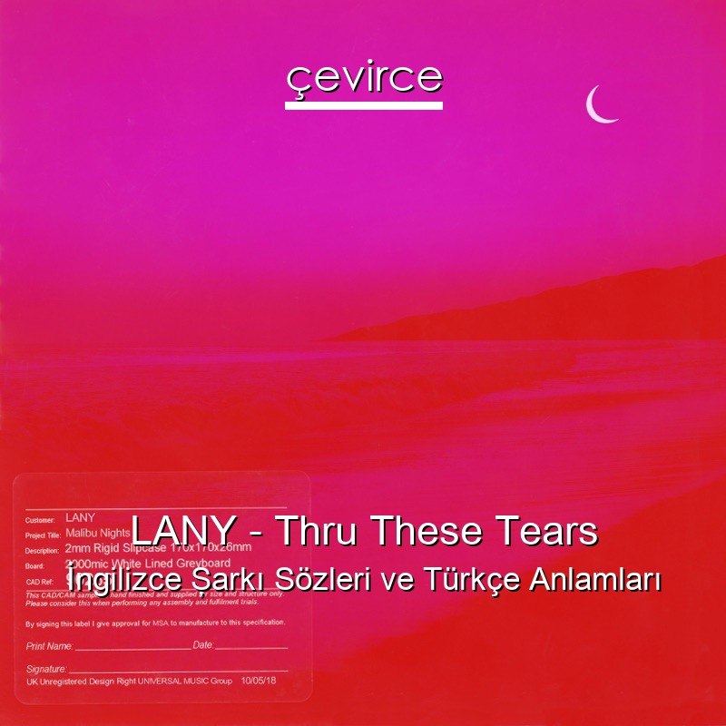 LANY – Thru These Tears İngilizce Şarkı Sözleri Türkçe Anlamları