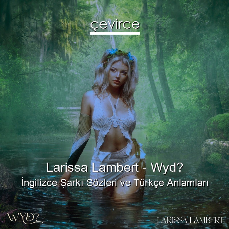 Larissa Lambert – Wyd? İngilizce Şarkı Sözleri Türkçe Anlamları