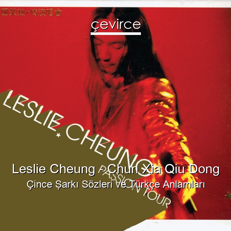 Leslie Cheung – Chun Xia Qiu Dong Çince Şarkı Sözleri Türkçe Anlamları
