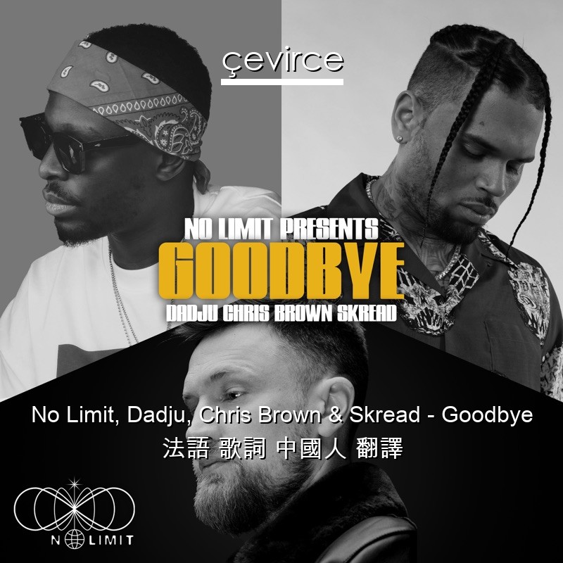 No Limit, Dadju, Chris Brown & Skread – Goodbye 法語 歌詞 中國人 翻譯