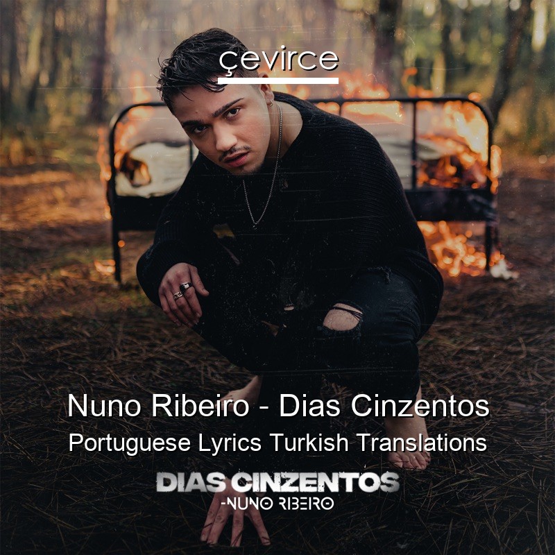 Nuno Ribeiro – Dias Cinzentos Portuguese Lyrics Turkish Translations