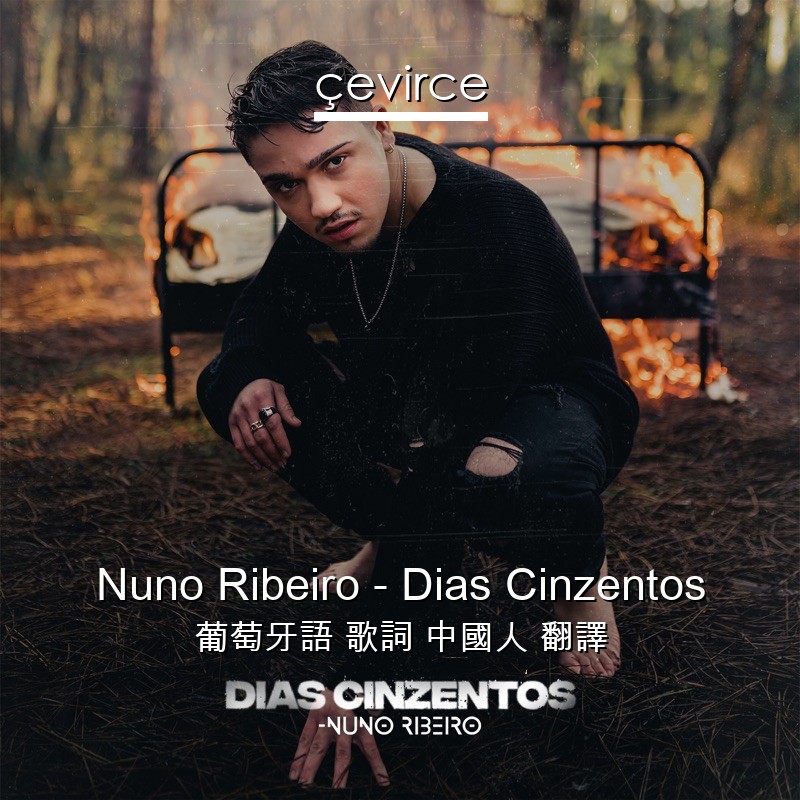 Nuno Ribeiro – Dias Cinzentos 葡萄牙語 歌詞 中國人 翻譯